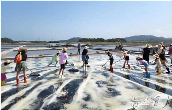 신안 증도 소금밭 체험&#40;해양수산부 제공&#41;