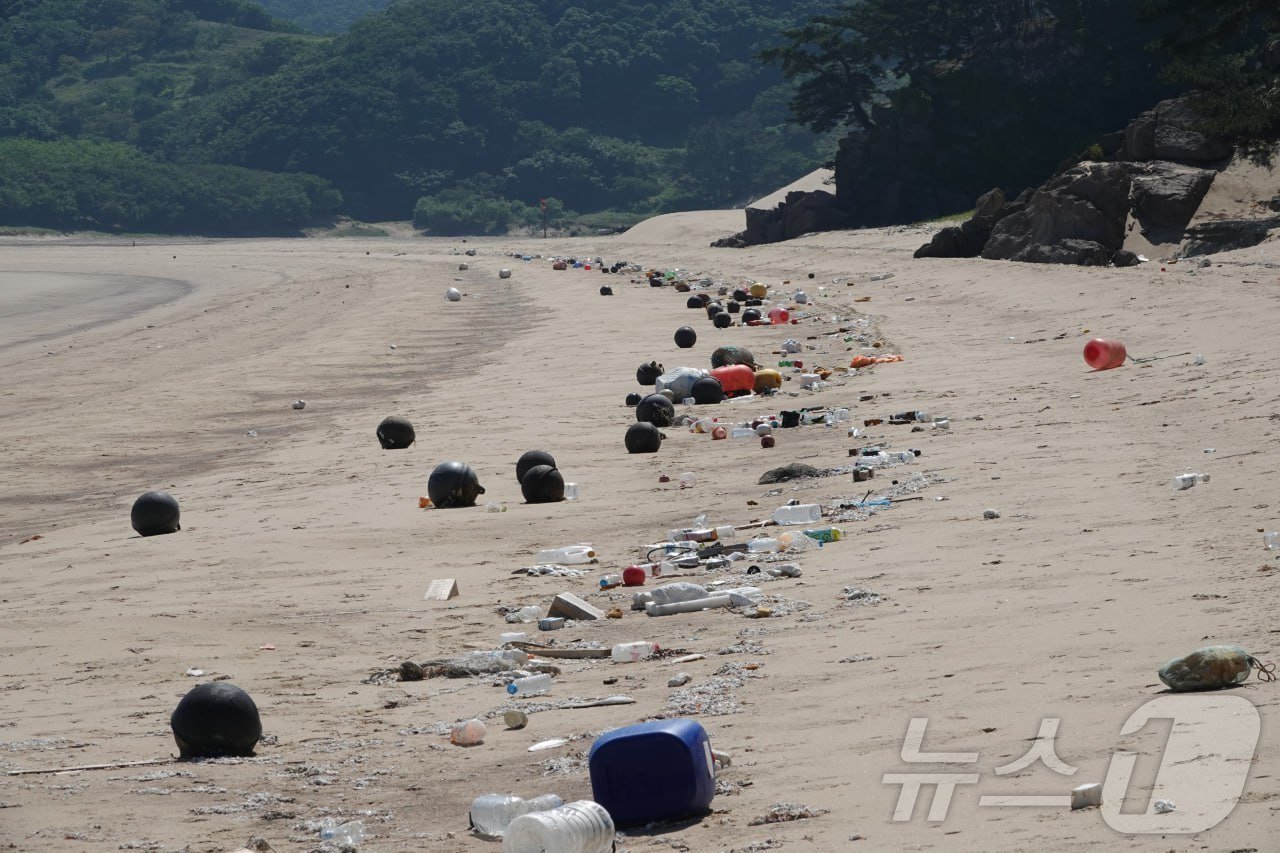 덕물산 해변 쓰레기&#40;인천환경운동연합 제공&#41;/뉴스1