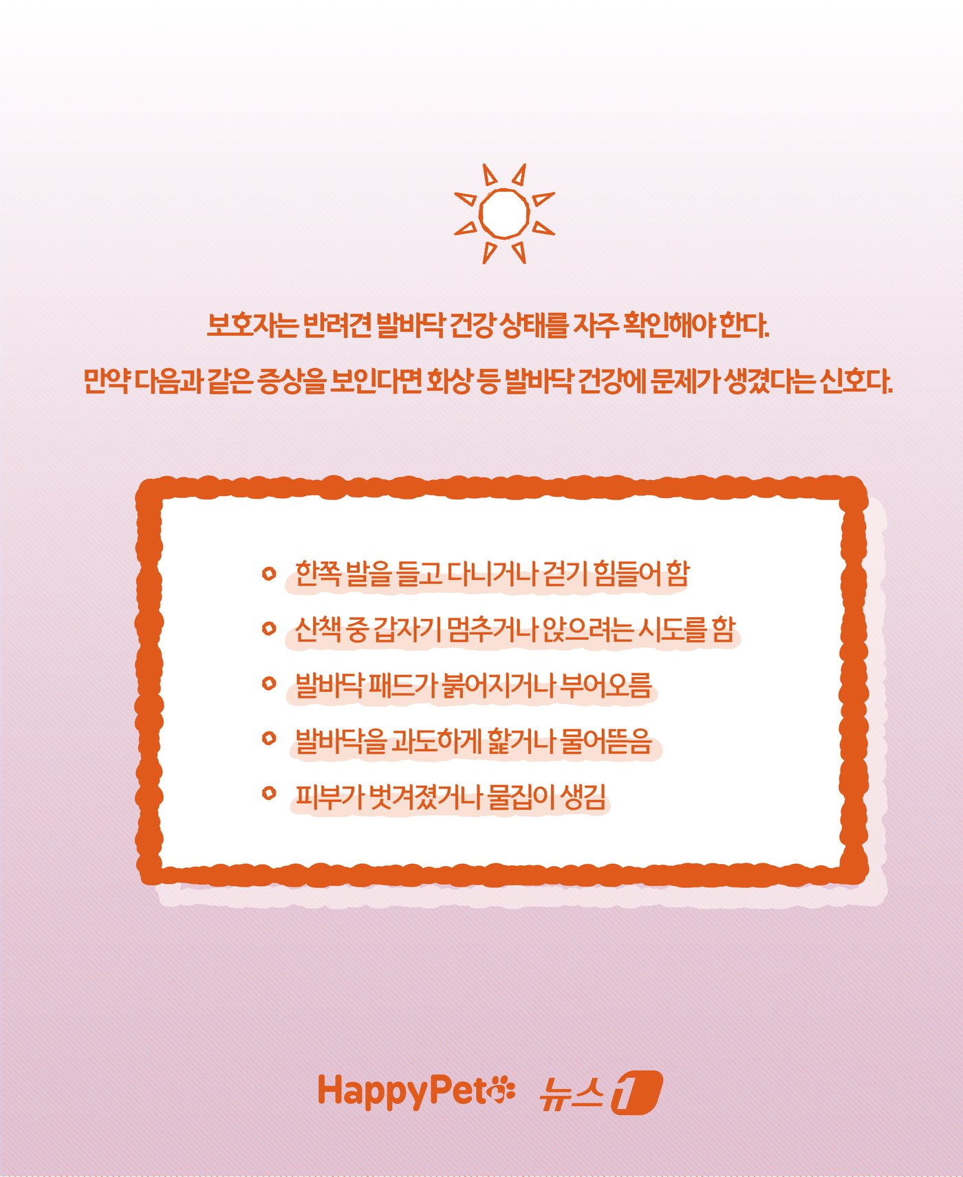 본문 이미지 - &#39;신발 신겨도 될까?&#39;… 여름철 반려견 발바닥 화상 예방법 ⓒ News1 윤주희 디자이너