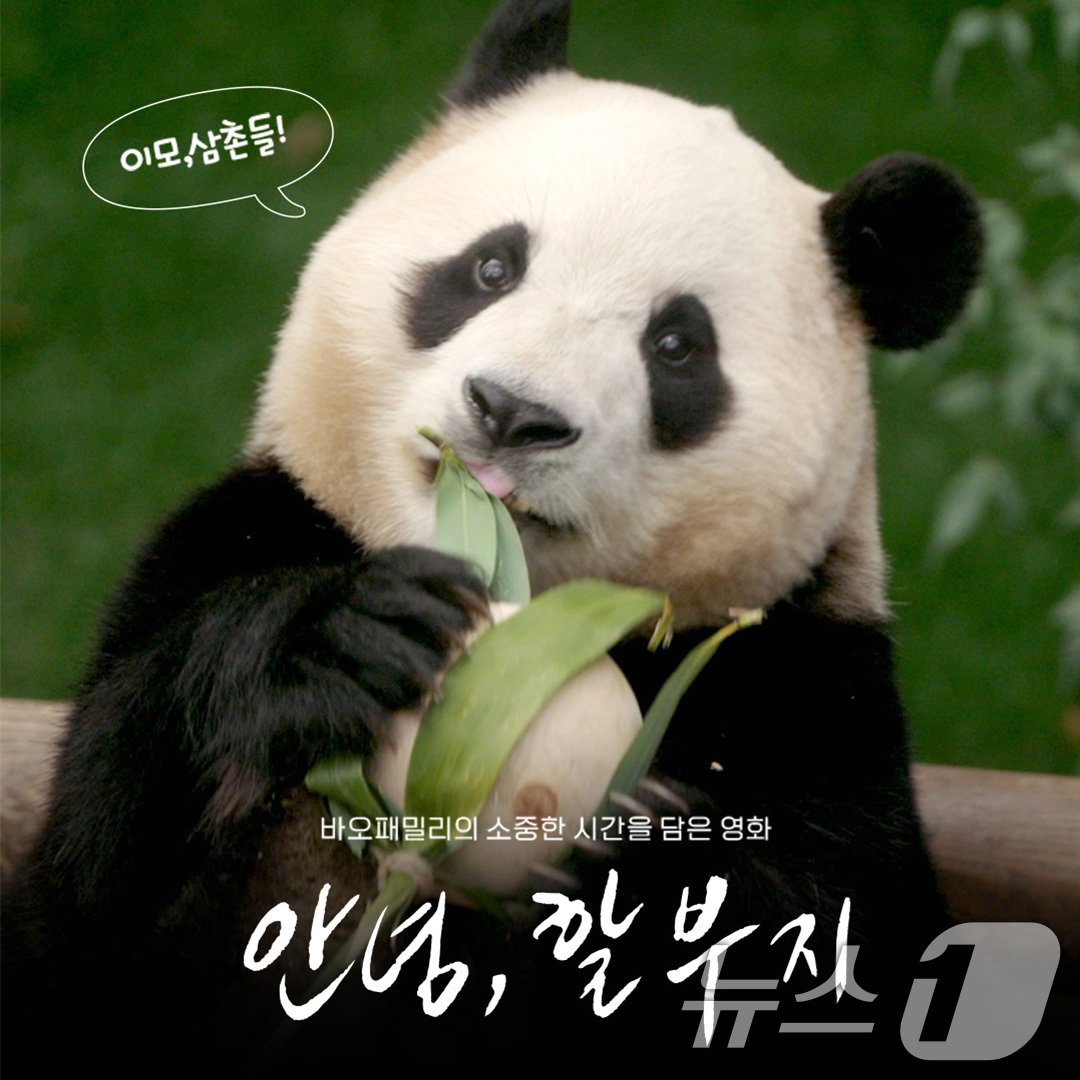 본문 이미지 - 엔딩 크레딧 이벤트 이미지. (삼성물산 리조트부문 제공) 2024.6.21/뉴스1