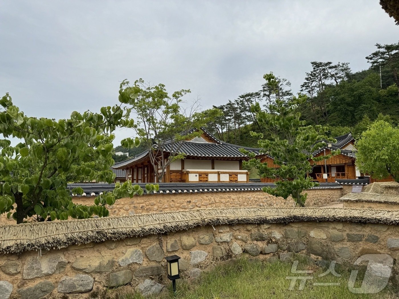 한 바이 소노의 거리 풍경. ⓒ 뉴스1 김형준 기자