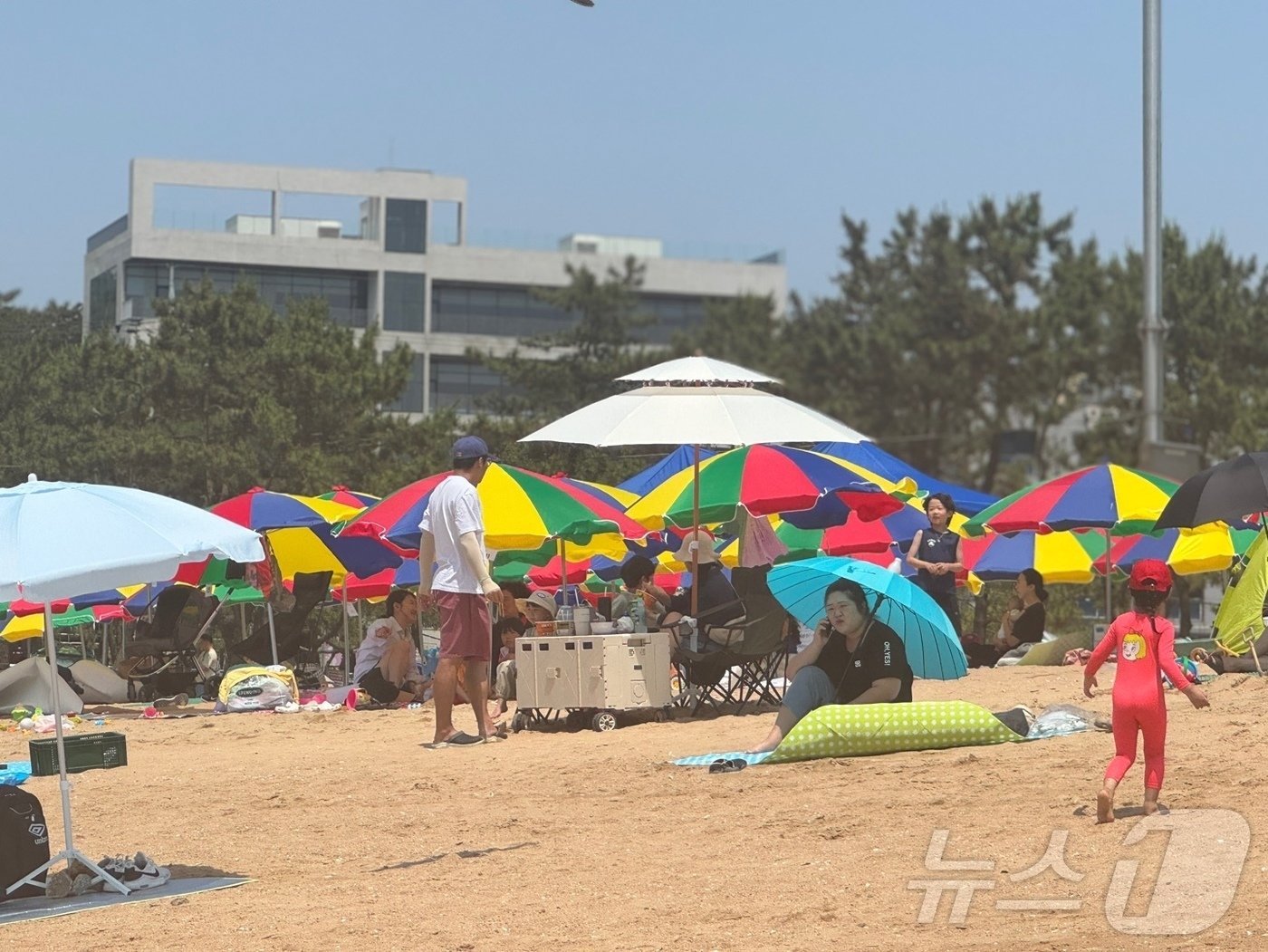 본문 이미지 - 23일 낮 1시쯤 인천시 중구 을왕리 해수욕장에서 시민들이 피서를 즐기고 있다.2024.6.23 ⓒ News1 박소영 기자