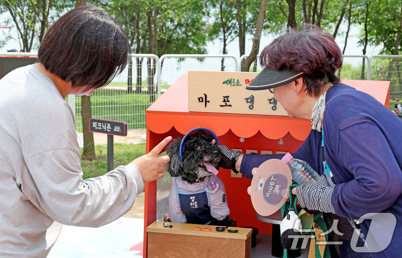 (서울=뉴스1) 장수영 기자 = 23일 오후 서울 마포구 난지 한강공원에서 개장한 반려동물 캠핑장을 찾은 시민이 반려견 포장마차 포토스팟에서 강아지와 놀이을 하고 있다. 2024. …