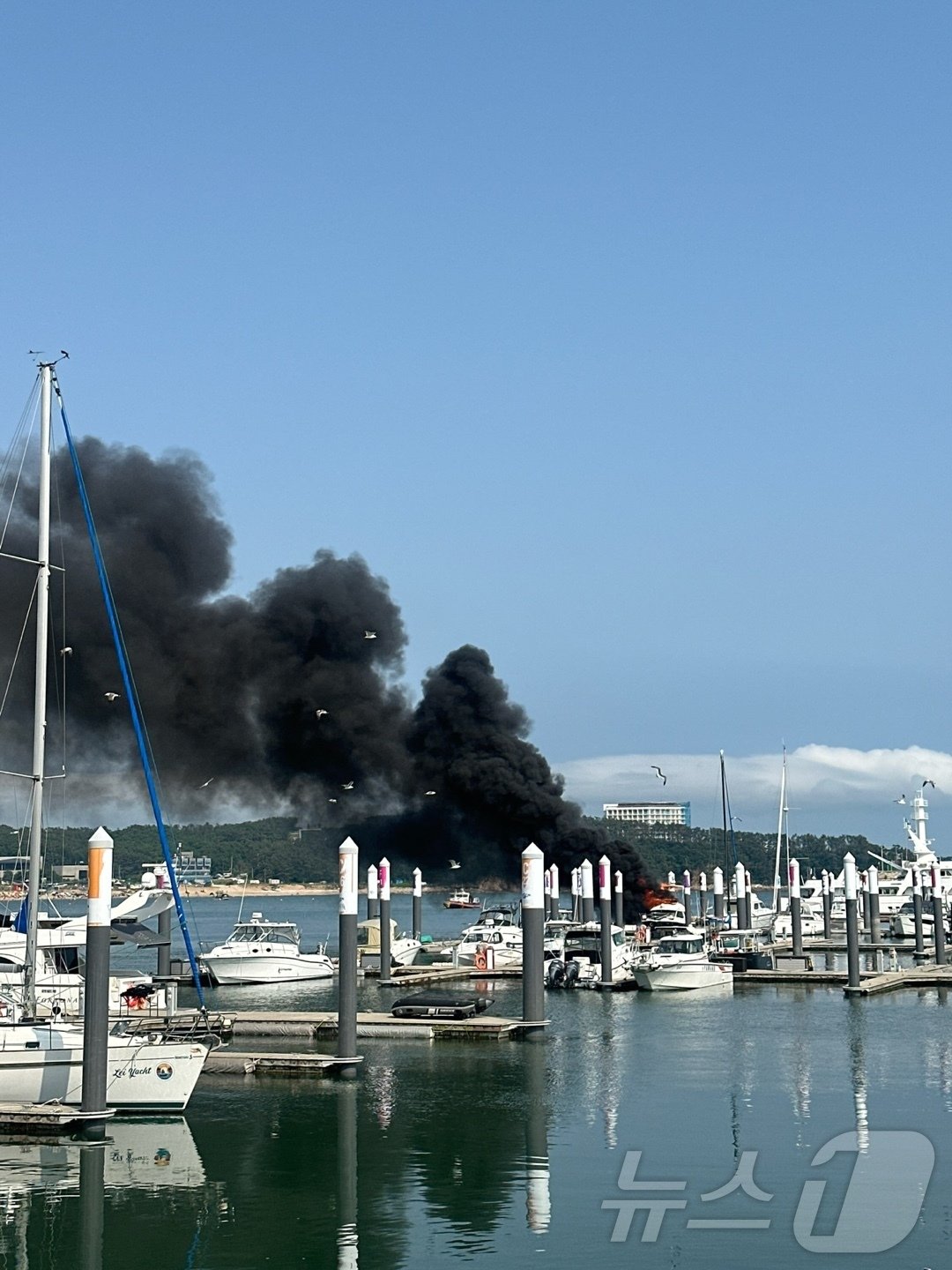 본문 이미지 - 23일 오후 4시 9분쯤 인천시 중구 왕산마리나항에 정박해 있던 3.7톤 레저용 보트에서 불이 났다.&#40;인천소방본부 제공&#41;2024.6.23./뉴스1