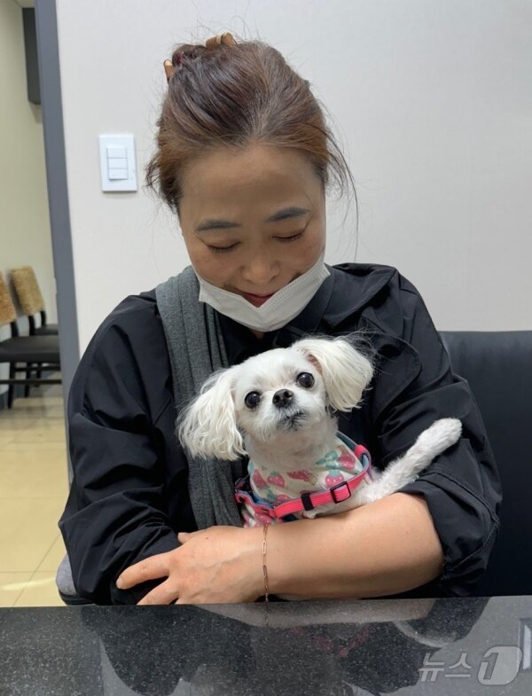 본문 이미지 - 동물병원에서 치료받고 보호자와 함께 행복한 시간을 보내고 있는 강아지(고려동물메디컬센터 제공) ⓒ 뉴스1