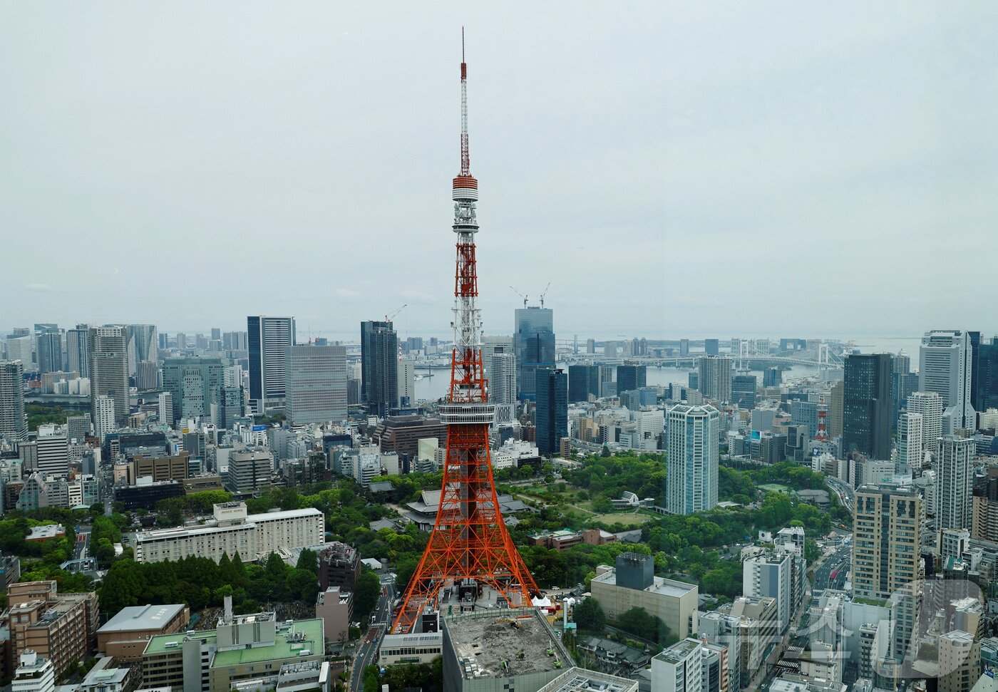 본문 이미지 - 도쿄타워. 2024.04.26 ⓒ 로이터=뉴스1 ⓒ News1 임여익 기자