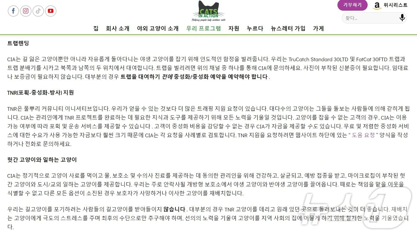 본문 이미지 - 미국의 한 동물보호단체는 길고양이 중성화 지원을 해주고 있다&#40;CIA 홈페이지 갈무리&#41;. ⓒ 뉴스1