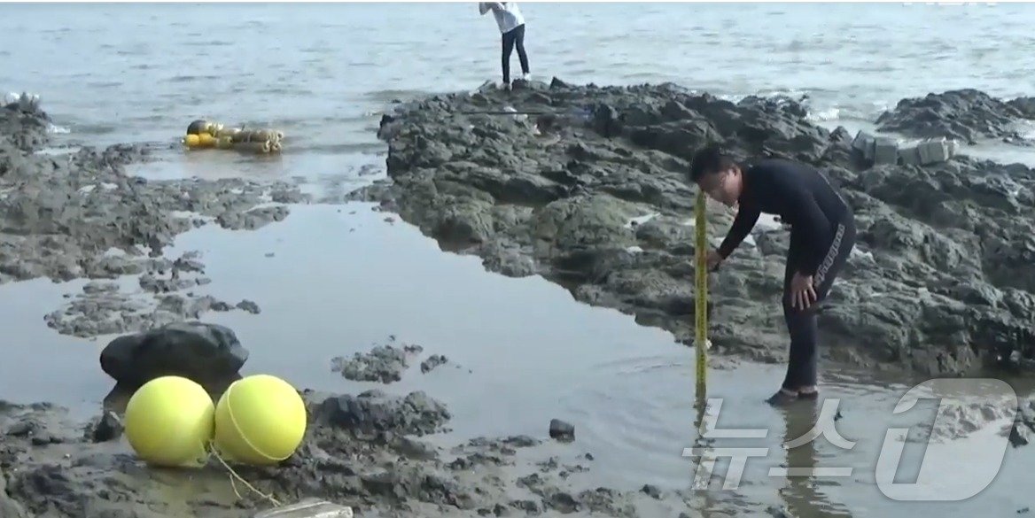 본문 이미지 -  보령해양경찰서 수사관들이 더미(왼쪽위)를 이용해 모의실험했다. 그 결과 더미(시신 대역)는 피해자가 익사했다는 곳(오른쪽)으로 도저히 올 수 없다는 사실이 드러났고 익사한 곳의 수심(오른쪽 수사관 자리)도 불과 10cm에 불과해 경찰은 살해를 확신하게 됐다. (사진=보령해양경찰서) ⓒ 뉴스1
