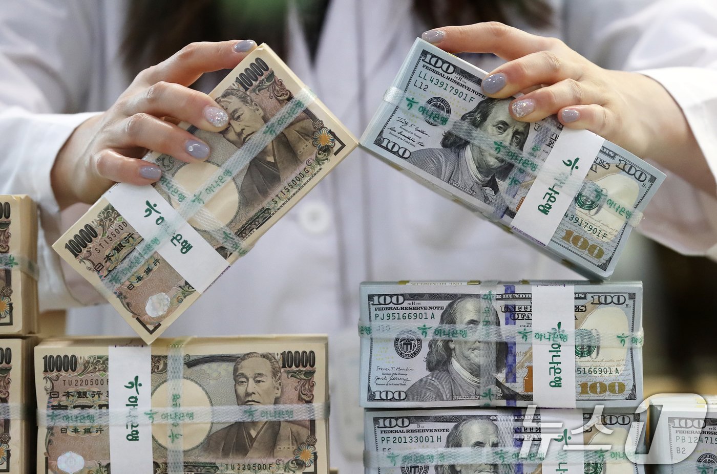 본문 이미지 -  27일 서울 중구 하나은행 위변조대응센터에서 직원이 달러와 엔화를 정리하고 있다. 2024.6.27/뉴스1 ⓒ News1 오대일 기자