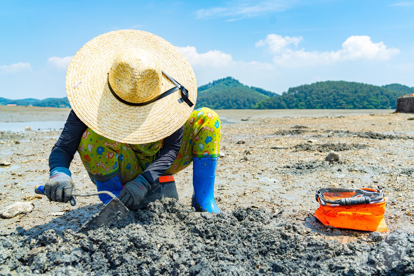 본문 이미지 - 중리어촌체험마을_갯벌 체험장에서 호미를 사용해 쉽게 바지락을 캘 수 있다&#40;한국관광공사 제공&#41;