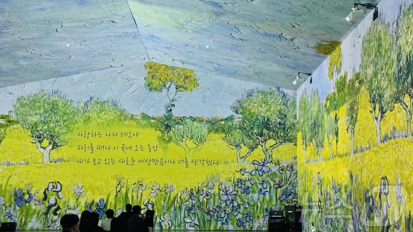 본문 이미지 -  인천 강화에 있는 &#39;참기름 아트팩토리&#39; 2관에서 열리고 있는 빈 센트 반 고흐 몰입형 미디어아트 전시. 2024.6.22/뉴스1 ⓒ 뉴스1 김일창 기자