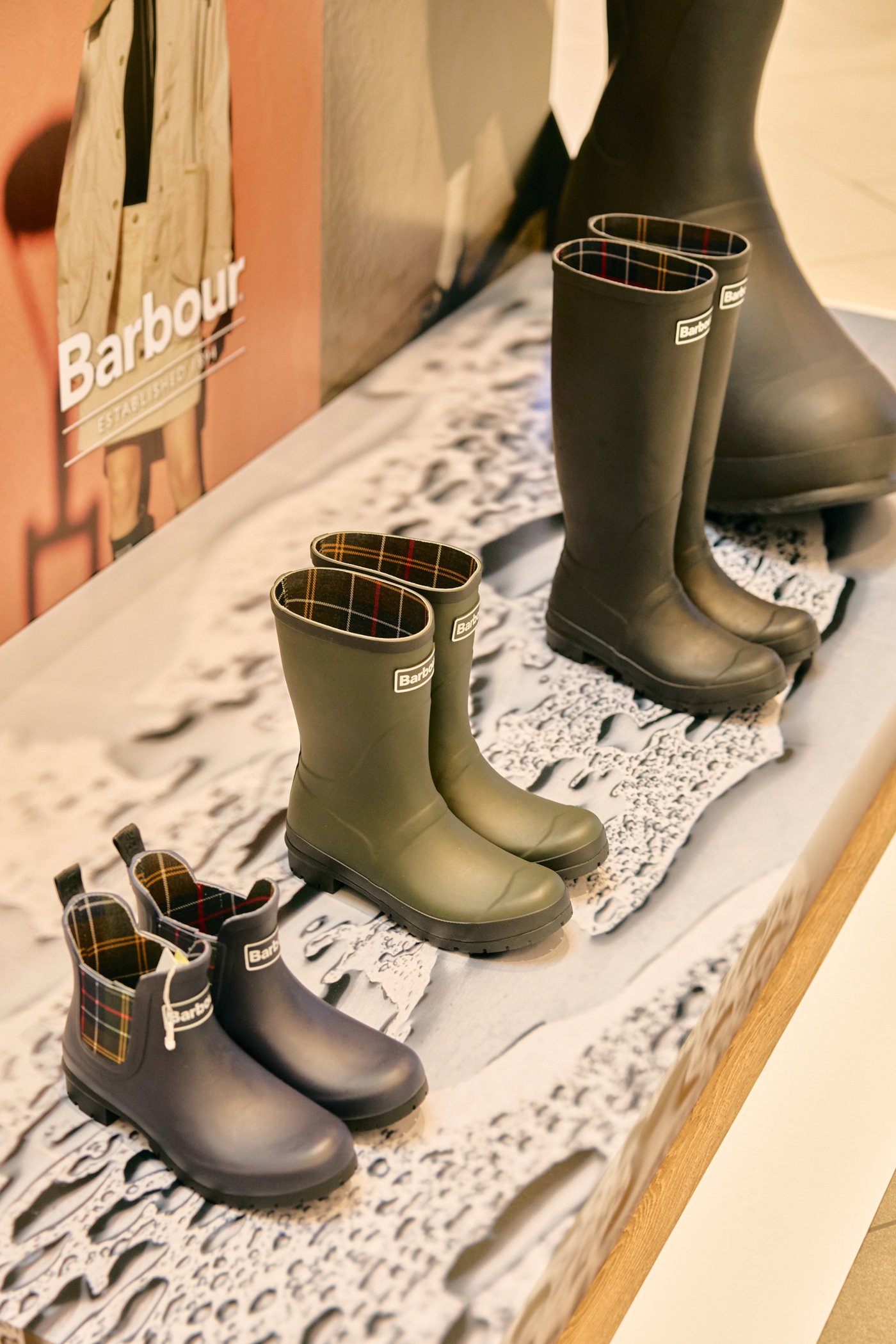 본문 이미지 - (LF 제공)