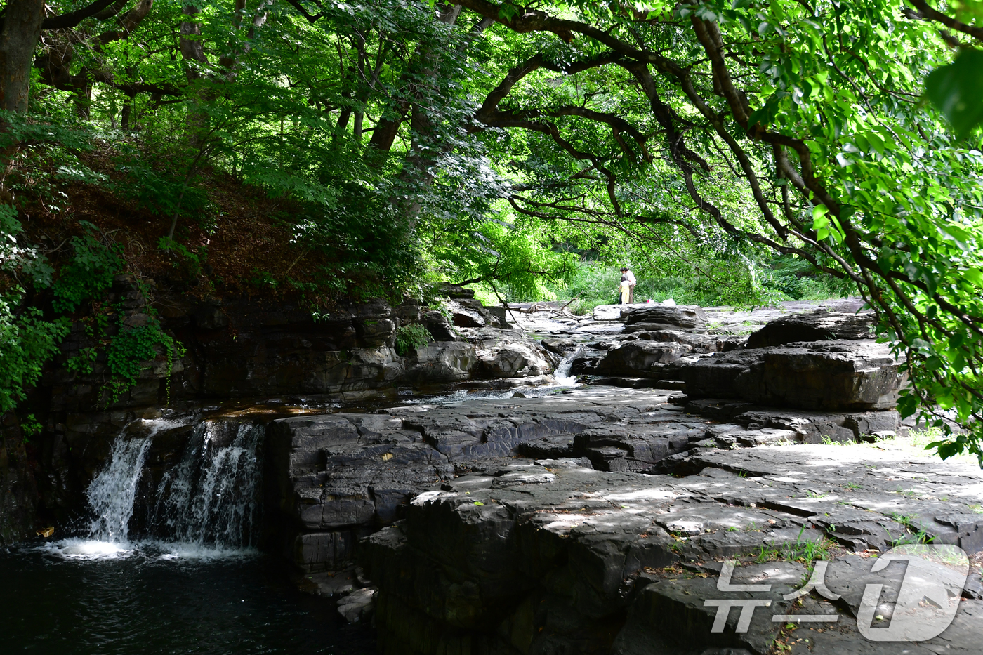(경주=뉴스1) 최창호 기자 = 29일 경북 경주시 안강읍 옥산서원 계곡에서 시원힌 물줄기가 흘러내리고 있다. 2023.6.29/뉴스1
