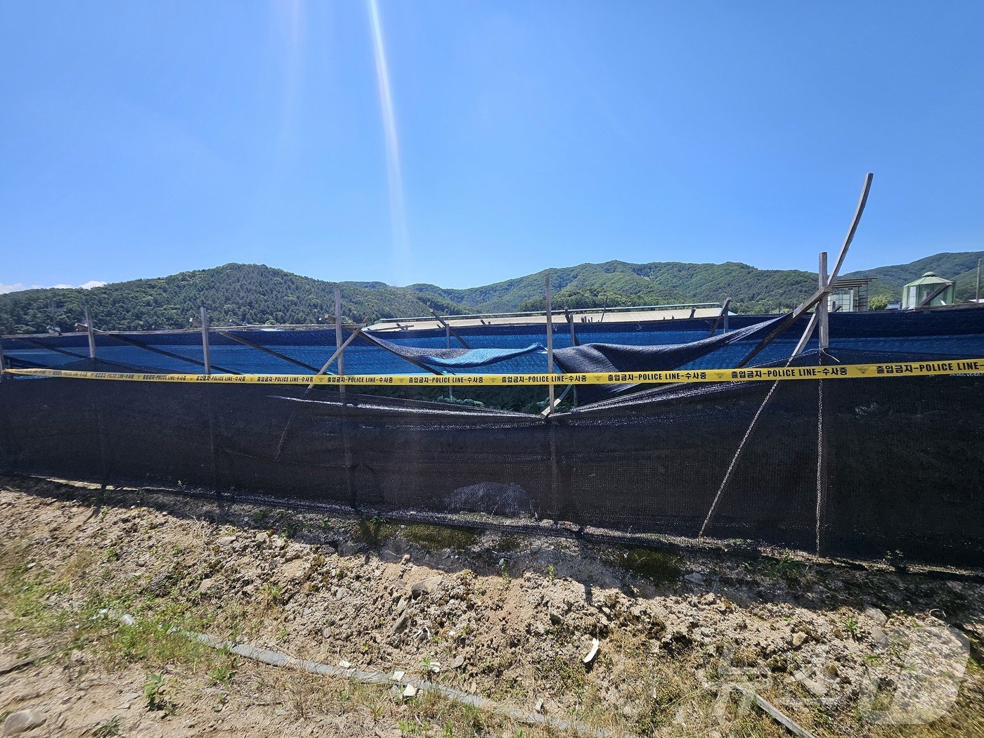 본문 이미지 - 3일 오전 10시 58분쯤 강원 춘천 서면 방동리의 한 인삼 밭에서 북한이 살포한 오물풍선이 발견, 경찰이 폴리스라인을 치고 외부인 출입을 통제하고 있다.2024.6.3. 한귀섭 기자 ⓒ News1 한귀섭 기자