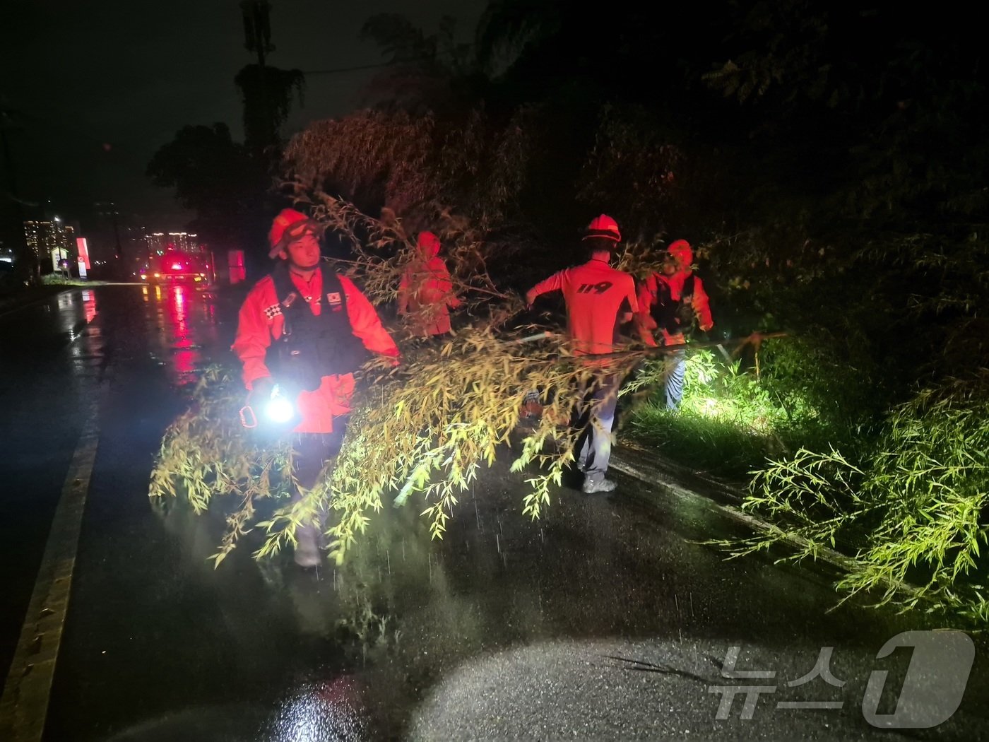 본문 이미지 - 지난 29일 오후 전남 화순군 동면에 위치한 한 도로에 장맛비에 나무가 쓰려졌다는 신고가 접수돼 소방당국이 제거작업을 하고 있다.(전남소방본부 제공) 2024.6.30/뉴스1 ⓒ News1 전원 기자