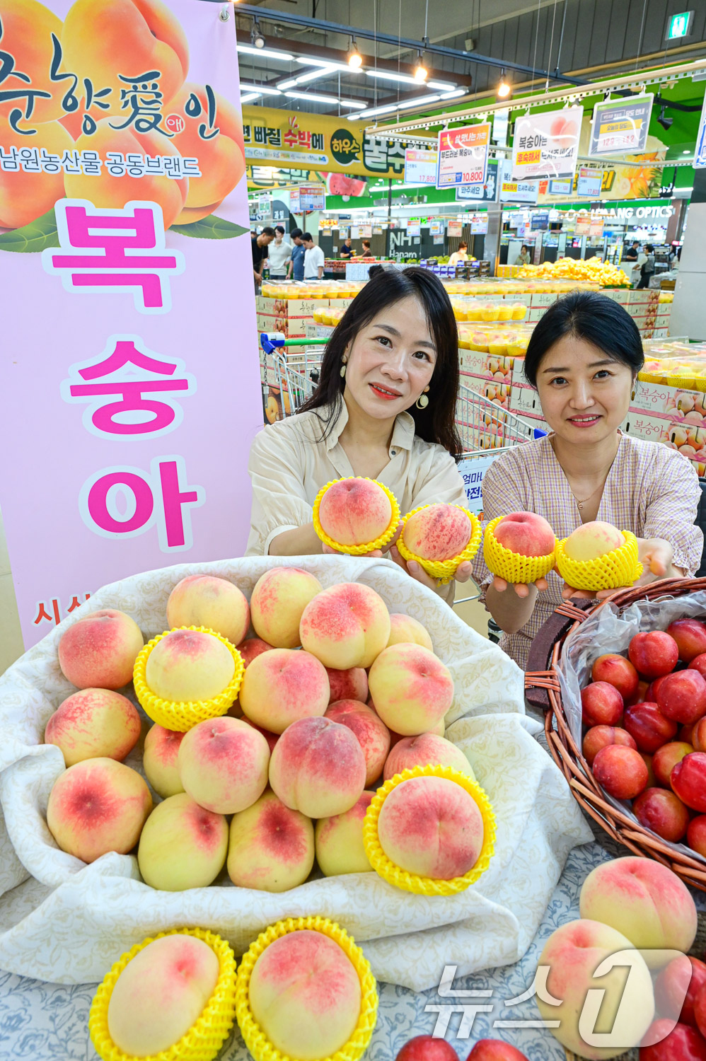 (서울=뉴스1) 송원영 기자 = 30일 서울 서초구 하나로마트 양재점에서 모델들이 여름에 먹으면 좋은 제철 과일인 '복숭아와 자두'를 소개하고 있다. (농협유통 제공) 2024.6 …