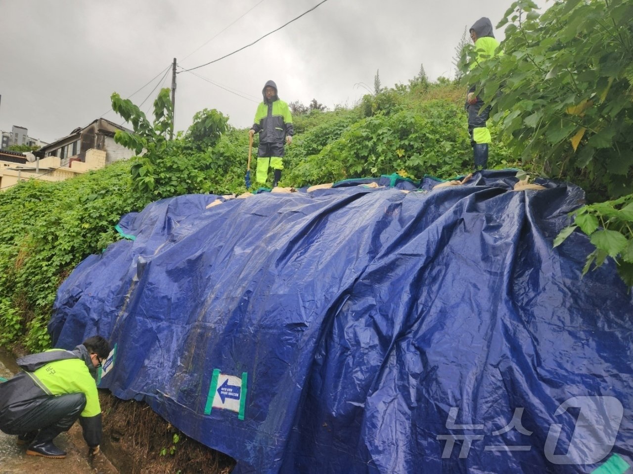 본문 이미지 - 30일 오전 6시30분쯤 광주 남구의 한 도로에 장맛비로 토사가 유출돼 행정당국이 조치를 취하고 있다.(광주 남구 제공) 2024.6.30/뉴스1 ⓒ News1 전원 기자