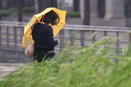 전국 흐리고 제주·전남해안 비…아침 최저 9도 '쌀쌀'[내일날씨]