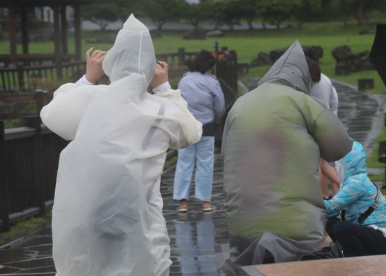 제주 산지·서부·추자도 강풍특보…한라산엔 한파특보