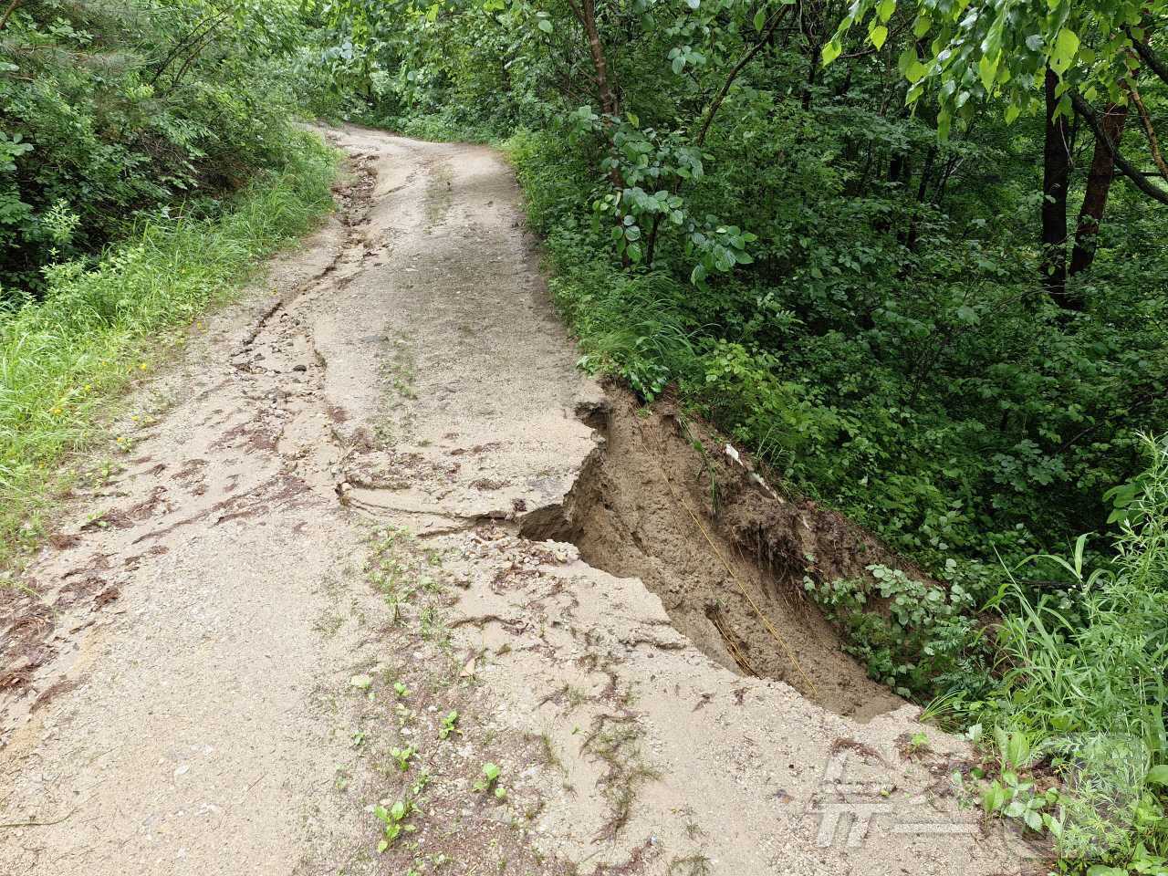 본문 이미지 - 30일 오전 9시 43분쯤 강원 인제군 인제읍 원대리의 한 임도가 유실, 소방당국이 안전조치에 나섰다. (강원도 소방본부 제공) 2024.6.30/뉴스1