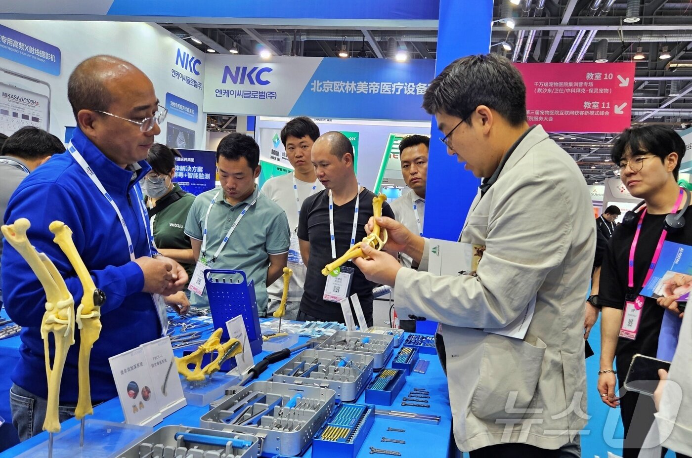 본문 이미지 - 수의사들이 제16회 동서부소동물임상수의사대회가 열린 중국 항저우 인터내셔널 엑스포 센터에서 슬개골 구조물을 보고 있다. ⓒ 뉴스1 최서윤 기자