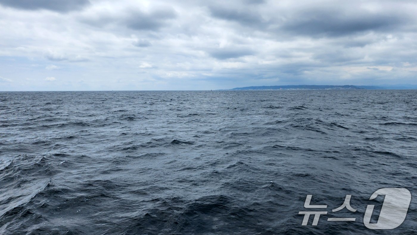 본문 이미지 - 4일 오전 경북 포항 영일만에 검푸른 파도가 일렁이고 있다.. 2024.6.4/뉴스1 ⓒ News1 최창호 기자