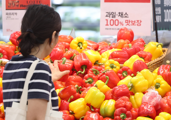 샤인머스캣 45%·애호박 63% 가격 '뚝'…정부, 농산물 소비 살리기 총력