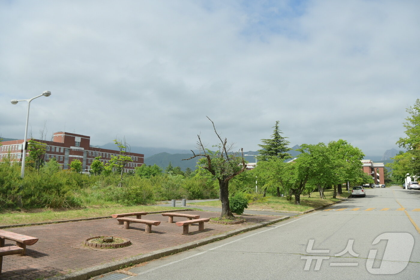 본문 이미지 - 강원 속초시 노학동에 위치한 옛 동우대학(경동대 설악캠퍼스) 내부 모습.(독자제공) 2024.5.23/뉴스1