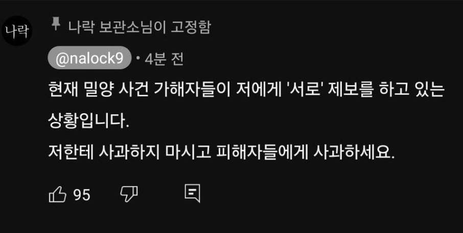 본문 이미지 - (유튜브 '나락보관소' 갈무리)