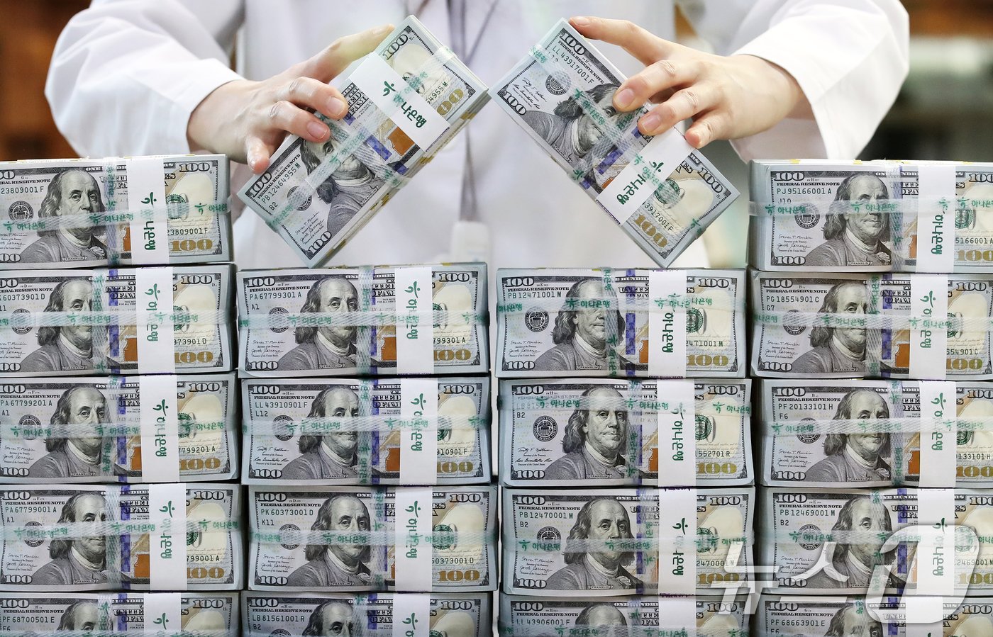 본문 이미지 -  5일 서울 중구 하나은행 위변조대응센터에서 직원이 달러를 정리하고 있다.  2024.6.5/뉴스1 ⓒ News1 오대일 기자