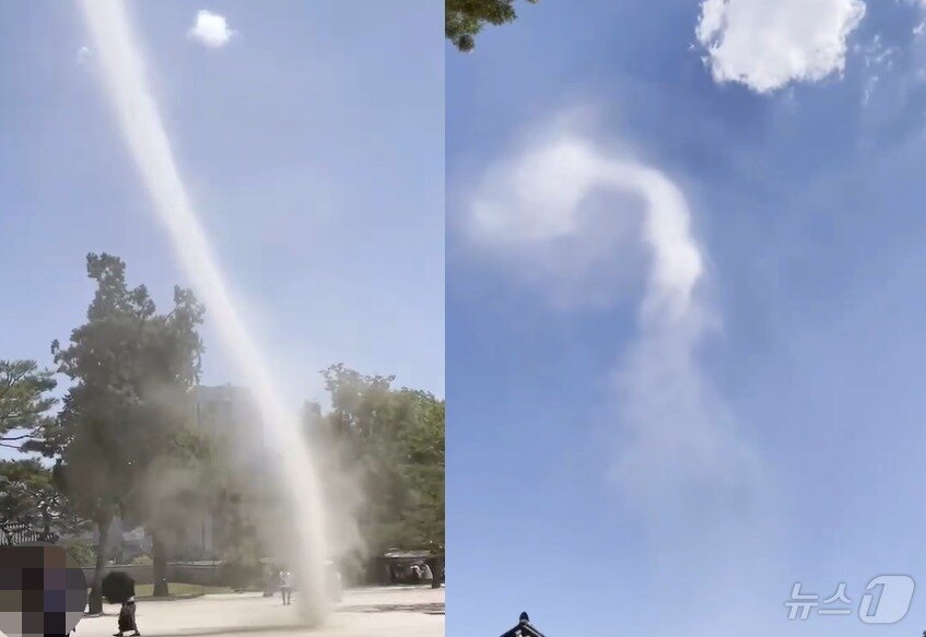 본문 이미지 - (SNS 갈무리)