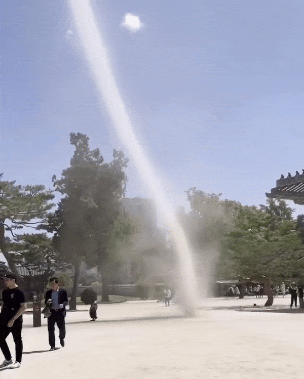 본문 이미지 - (SNS 갈무리)