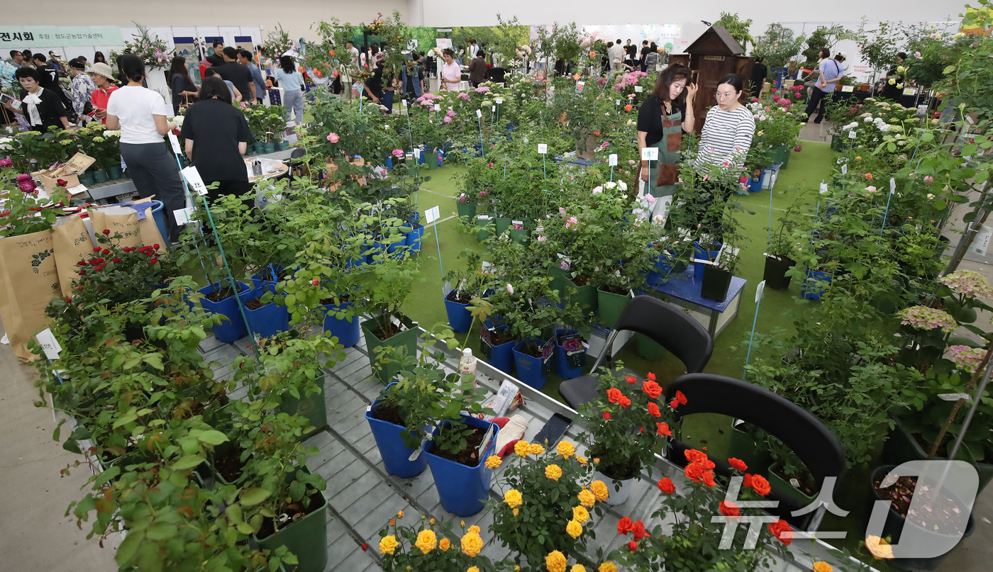 (대구=뉴스1) 공정식 기자 = 6일 대구 북구 엑스코에서 열린 국내 최대 규모의 실내 플라워쇼 '제15회 대구꽃박람회'를 찾은 시민들이 다양한 화훼작품과 전시관을 살펴보고 있다. …