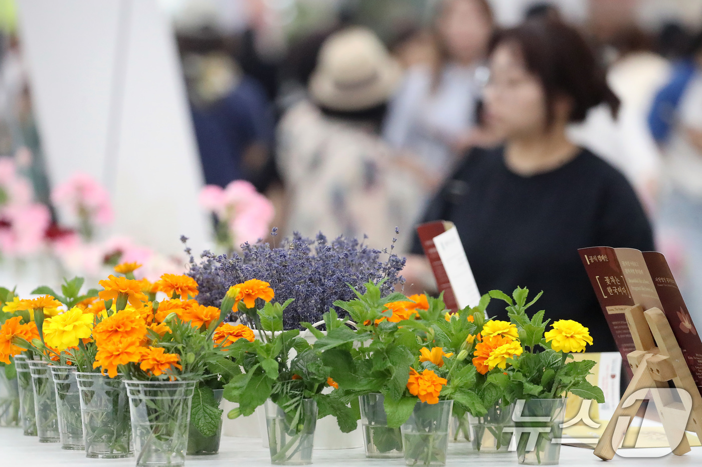 (대구=뉴스1) 공정식 기자 = 6일 대구 북구 엑스코에서 열린 국내 최대 규모의 실내 플라워쇼 '제15회 대구꽃박람회'를 찾은 시민들이 다양한 화훼작품과 전시관을 살펴보고 있다. …