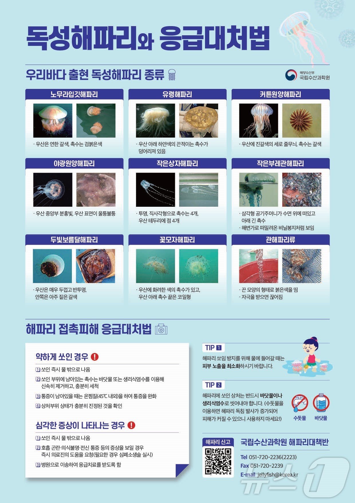 독성해파리 응급대처법 리플릿.&#40;전남도 제공&#41; 2024.6.7/뉴스1