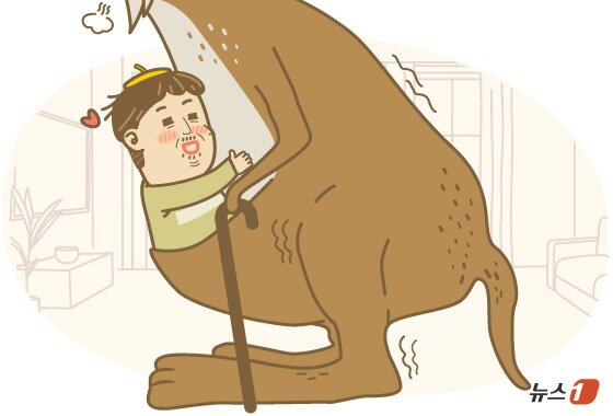 본문 이미지 - ⓒ 뉴스1 김초희 디자이너