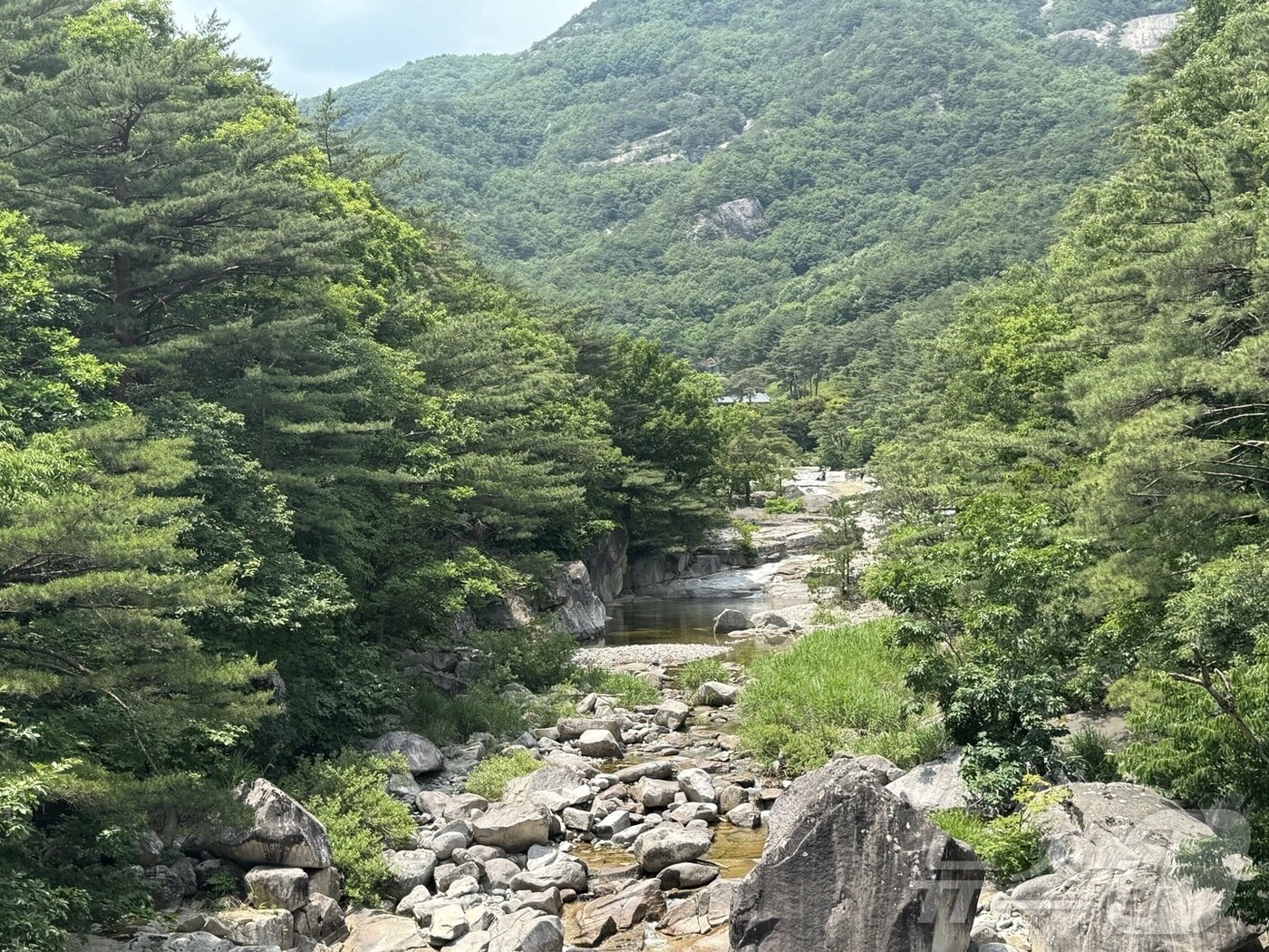 본문 이미지 - 강원 동해시에 위치한 무릉계곡의 모습. ⓒ 뉴스1 김형준 기자