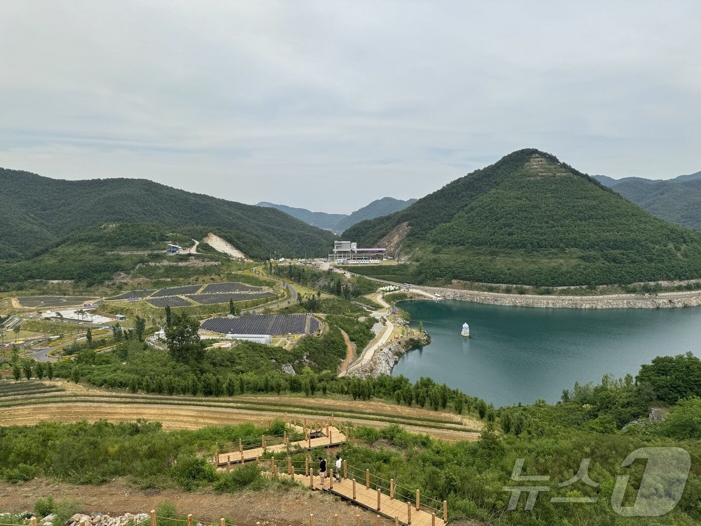 본문 이미지 - 석회석 채광지를 라벤더 밭과 녹지로 탈바꿈시킨 무릉별유천지의 모습. ⓒ 뉴스1 김형준 기자