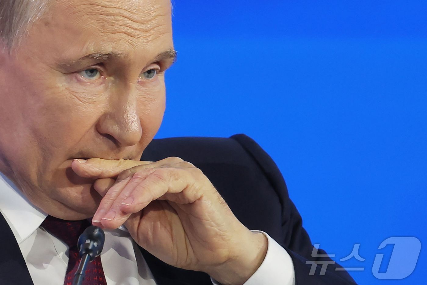 본문 이미지 - 블라디미르 푸틴 러시아 대통령.ⓒ AFP=뉴스1