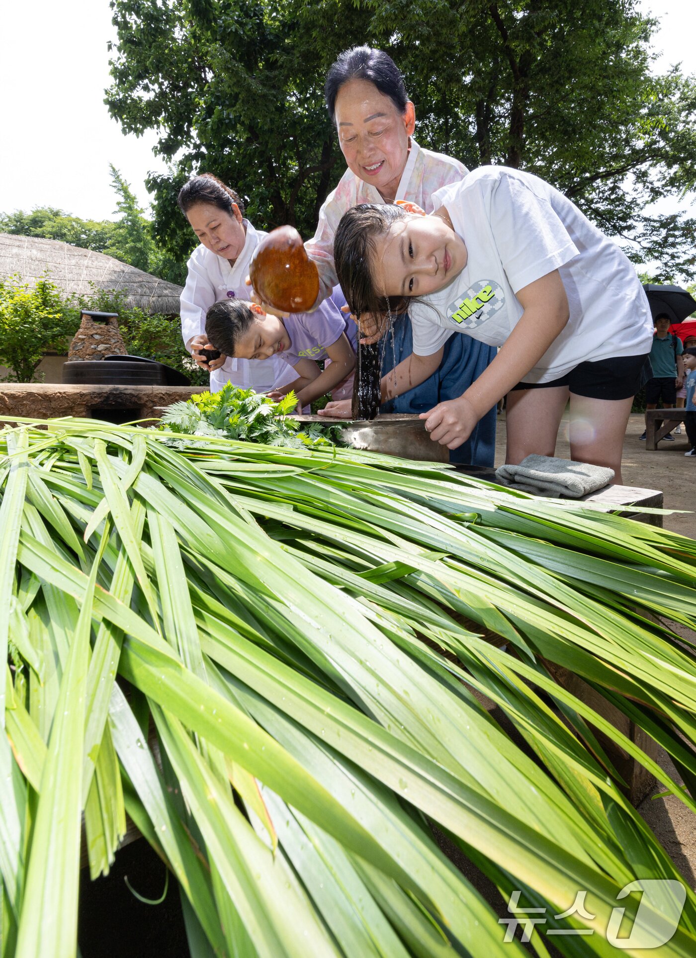 본문 이미지 - 단오(음력 5월5일)를 하루 앞둔 9일 경기도 용인시 기흥구 한국민속촌에서 어린이들이 창포물에 머리 감기 체험을 하고 있다. 2024.6.9/뉴스1 ⓒ News1 이재명 기자