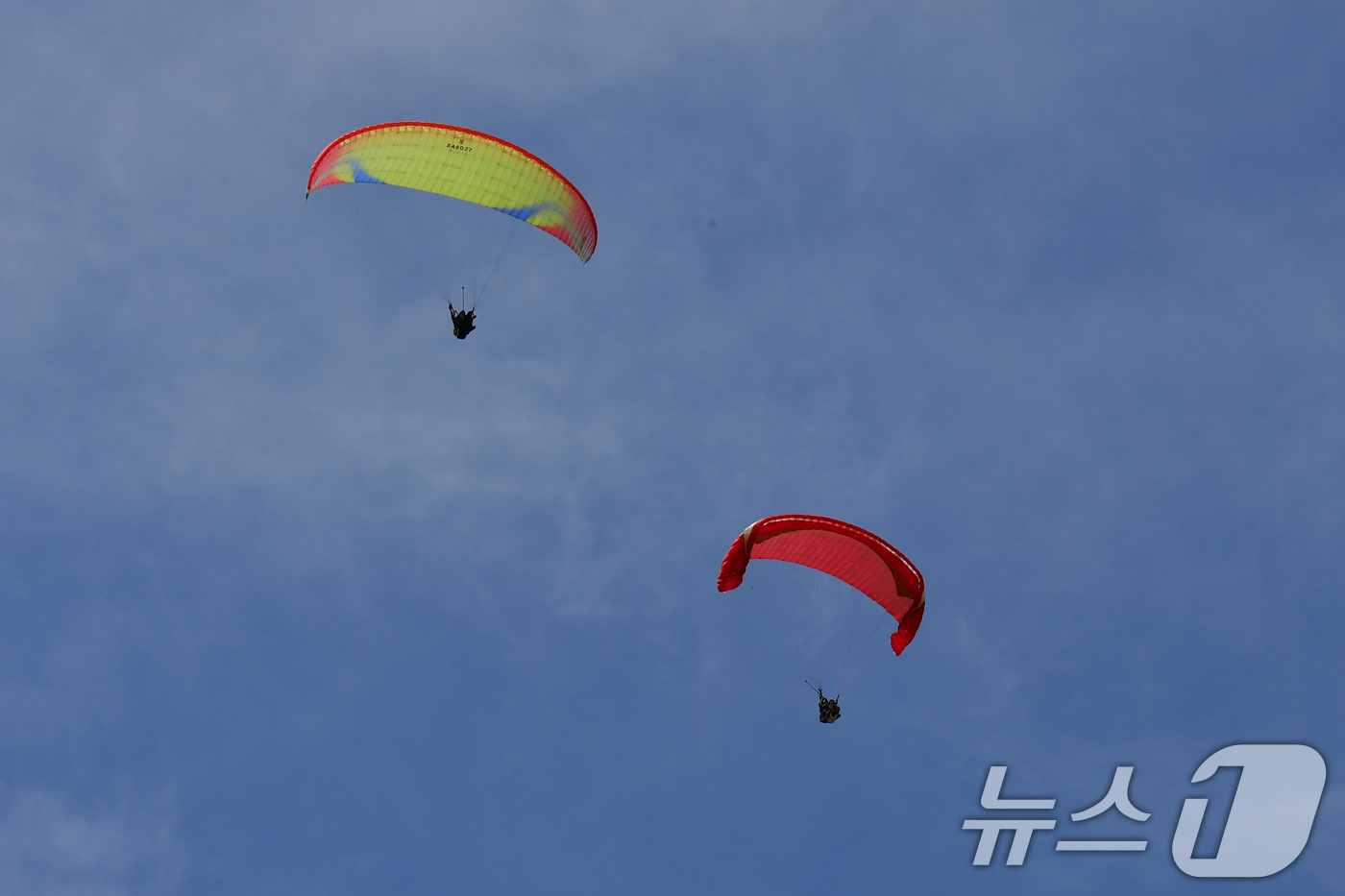 (포항=뉴스1) 최창호 기자 = 9일 오후 경북 포항시 북구 흥해읍 칠포리 곤륜산에서 관광객들이 페러글라이딩 체험을 하며 즐가운 시간을 보내고 있다. 2046./뉴스1