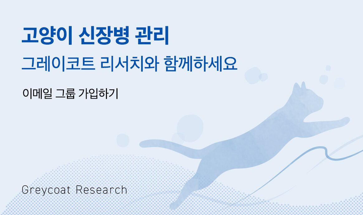 본문 이미지 - 반려동물 헬스케어 스타트업 모모그룹(대표 윤정은)은 고양이 신장병 관리를 위한 '건강정보 메일링 서비스'를 시작한다고 1일 밝혔다. (모모그룹 제공) ⓒ 뉴스1