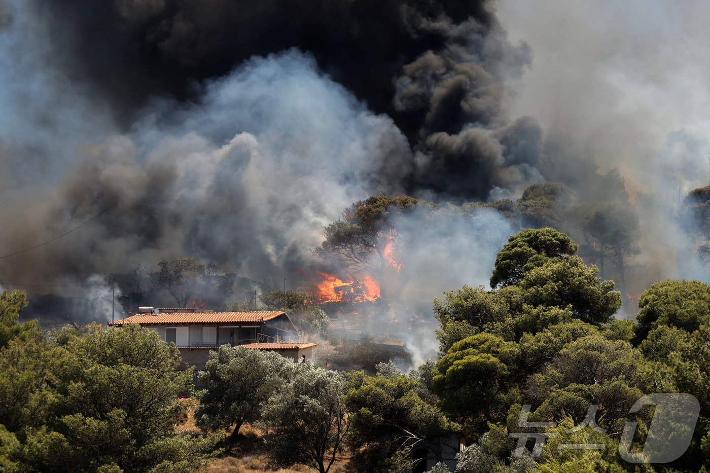 본문 이미지 - 30일(현지시간) 그리스 아테네 인근 케라테아 지역에서 화재가 발생했다. 24.06.30 ⓒ 로이터=뉴스1 ⓒ News1 김예슬 기자