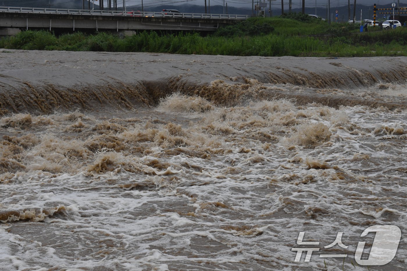 본문 이미지 - 경북 포항시 전역에 호우 경보가 발령된 10일 오전 북구 흥해읍 곡강천에서 흙탕물이 흘러가고 있다. 2024.7.10/뉴스1 ⓒ News1 최창호 기자