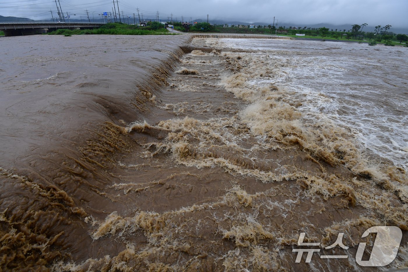본문 이미지 - 경북 포항시 전역에 호우 경보가 발령된 10일 오전 북구 흥해읍 곡강천이 흙탕물로 변해있다. 2024.7.10/뉴스1 ⓒ News1 최창호 기자