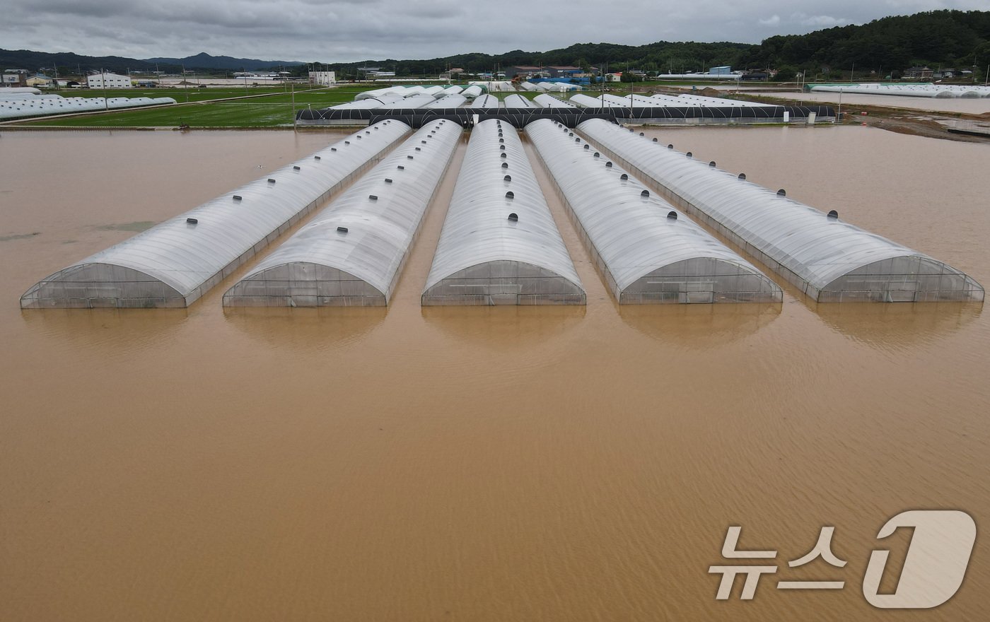 충남지역에 집중호우가 내린 10일 부여군 세도면 간대리 일대 비닐하우스가 불어난 물에 잠겨 있다. 2024.7.10 /뉴스1 ⓒ News1 김기태 기자