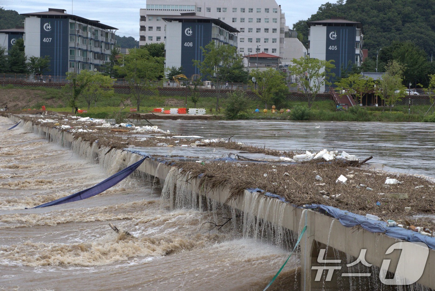 (안동=뉴스1) 신성훈 기자 = 10일 경북 안동시 용상동과 정상동을 잇는 보행교가 폭우로 침수돼 상류에서 떠밀려온 오물에 뒤덮혔다. 2024.7.10/뉴스1