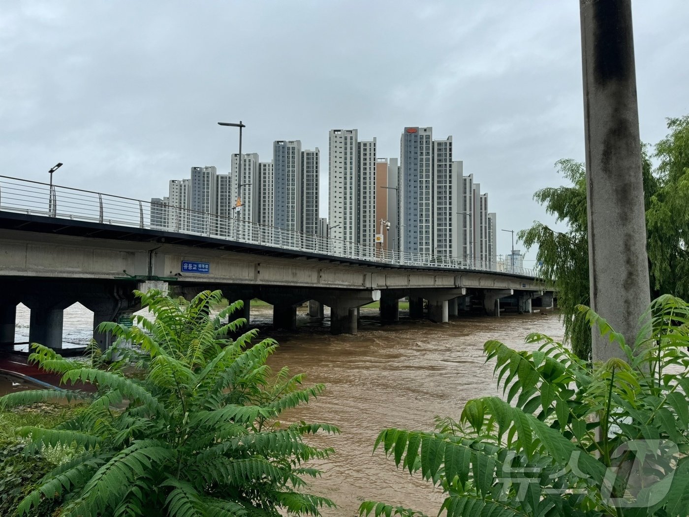 본문 이미지 - 유등교 교각 ⓒ News1 김경훈 기자