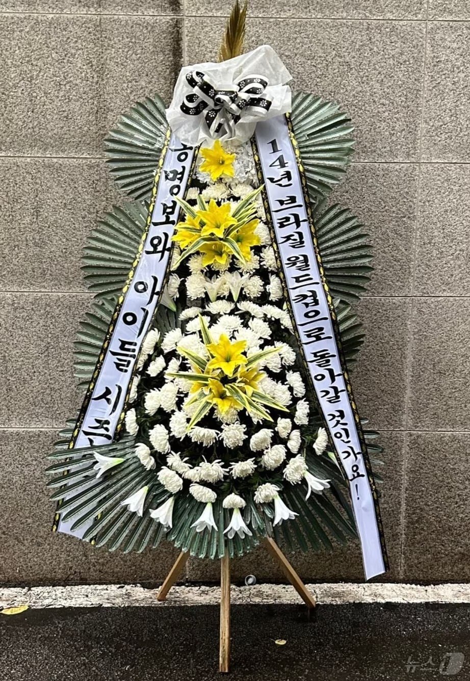 본문 이미지 - 한 팬이 대한축구협회에 보낸 근조화환/뉴스1ⓒ 뉴스1 김도용 기자