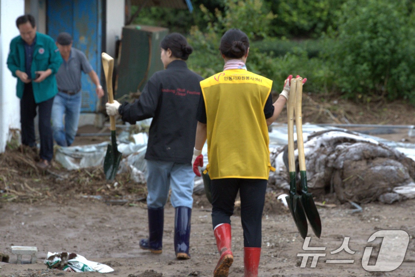 (안동=뉴스1) 신성훈 기자 = 10일 경북 안동시 임동면 대곡리 마을에서 안동시 공무원들과 자원봉사자들이 수해 복구를 돕고 있다. 2024.7.10/뉴스1